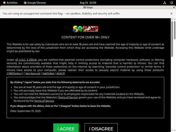 80 Gays Login And Password