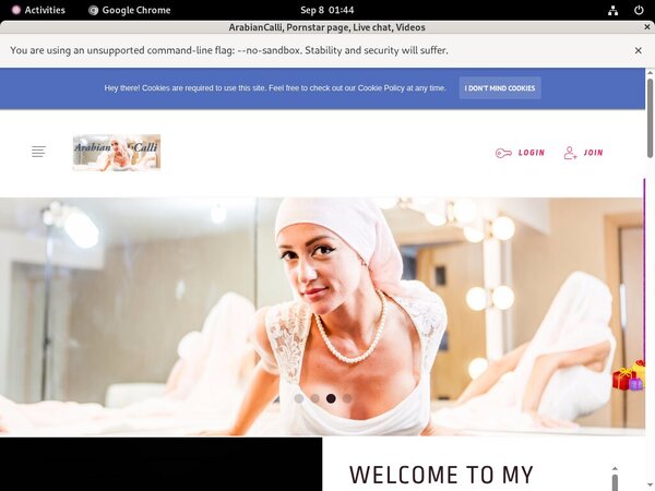 Arabiancalli.modelcentro.com Trailers