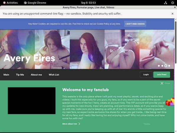 AveryFires Passwords