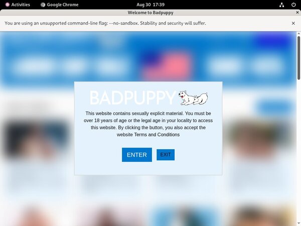 Bad Puppy Billing Page