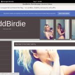 BaddBirdie Account Generator 2016