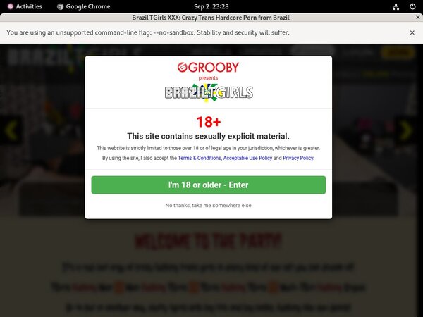 Brazil TGirls XXX Password Blog