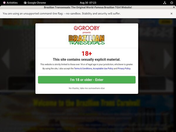 Brazilian Transsexuals Porn Clips