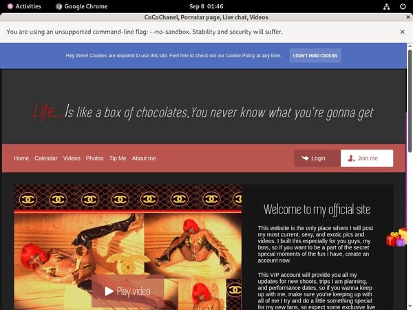 Cocochanel.modelcentro.com Hack