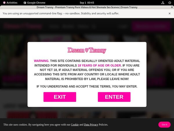 Discount Dreamtranny Account