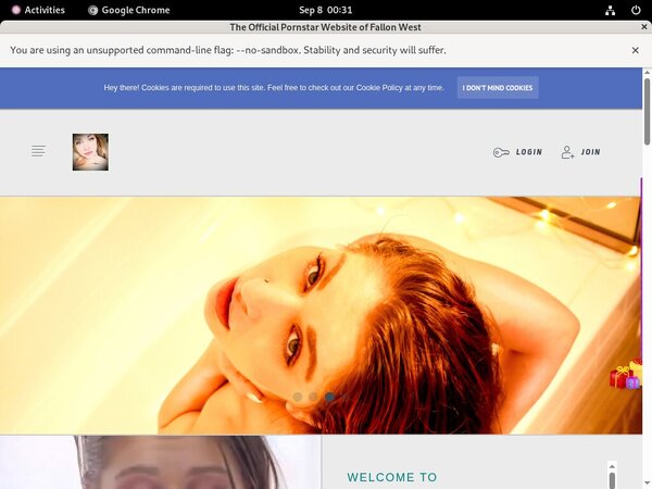 Fallonfuckingwest.com With IBAN / BIC