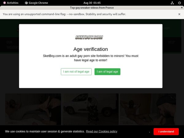 Free Sketboy.com Accs