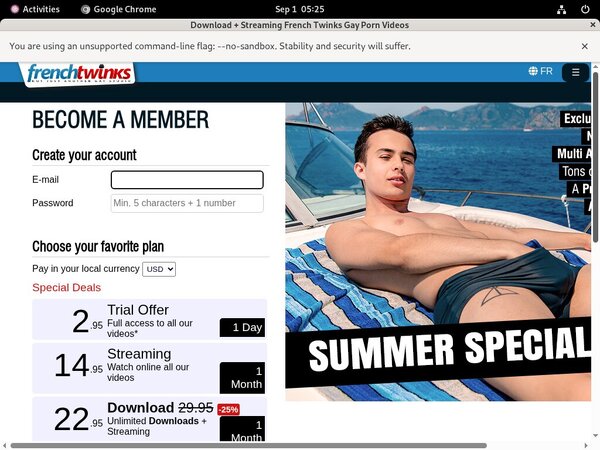 French Twinks Instant Access