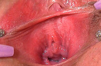 Gapemypussy Discount Url s1
