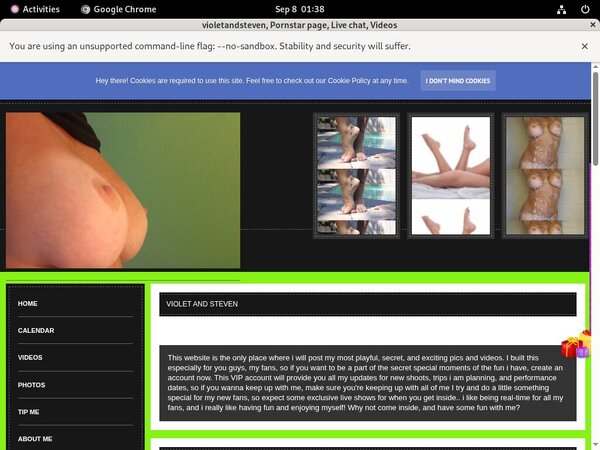 How To Get Violetandstevmodelcentro.com For Free