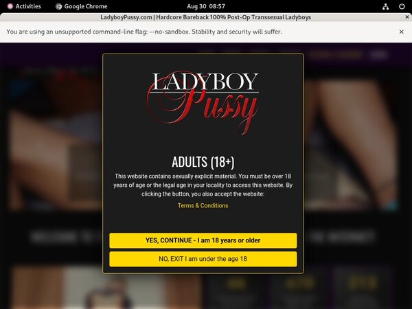 Ladyboy Pussy Collection