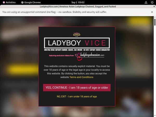 Ladyboy Vice Bank