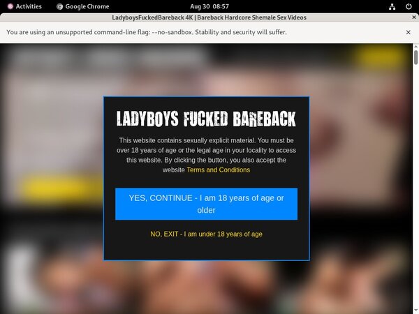 Ladyboysfuckedbareback Account For Free