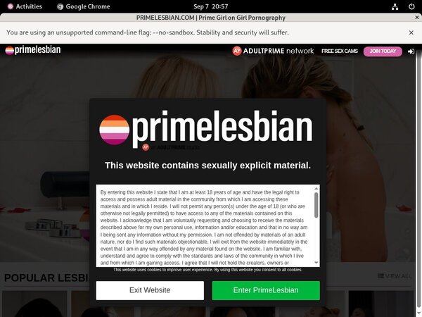 Lesbians Prime Access