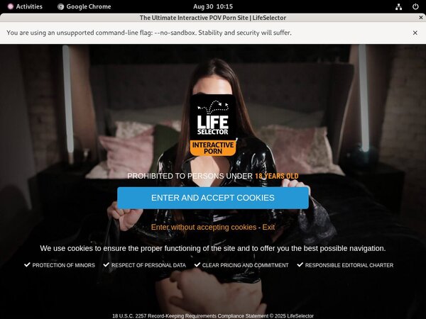Life Selector Full Hd