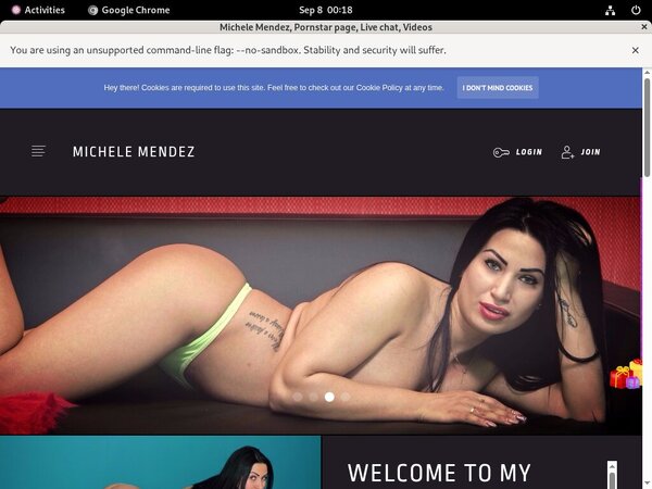 MicheleMendez Accept Paypal