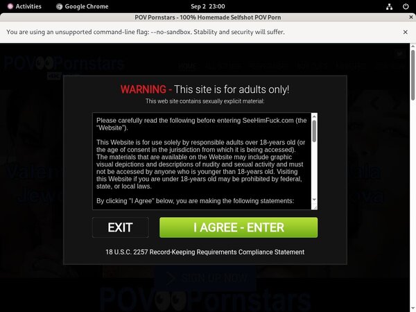 Povpornstars Passwords
