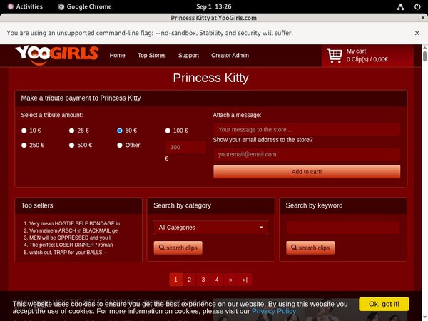 [Image: Princess-Kittypasswords.jpg]