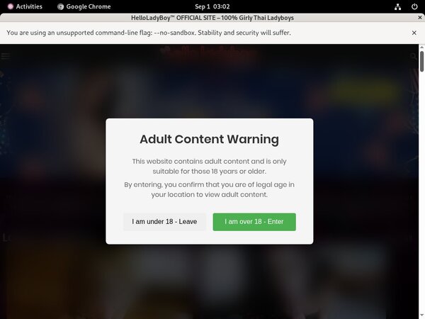 Special Helloladyboy.com Trial