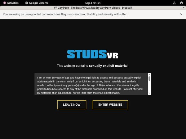 Studsvr.com Gallery
