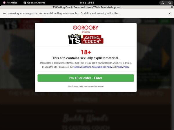 Ts-castingcouch.com 1 Day Trial
