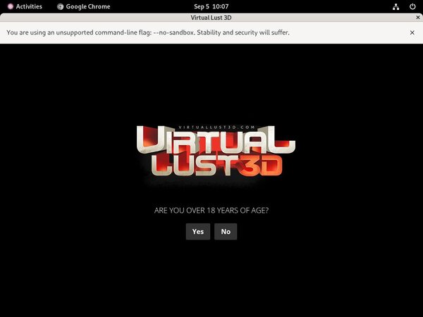 Virtuallust 3D Network Login