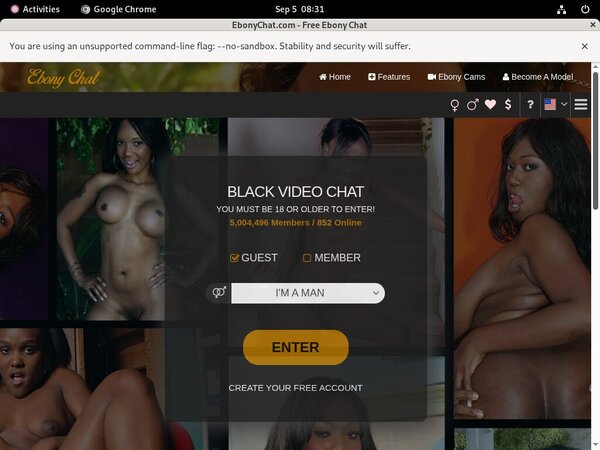Working Ebonychat Login