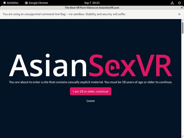Asian VR Sex Sample