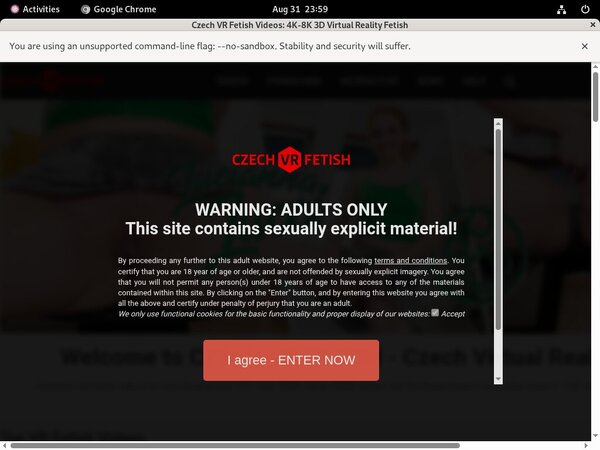 Czechvrfetish.com Daily Pass