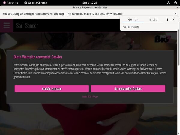 Get A Free Sari Sander Login