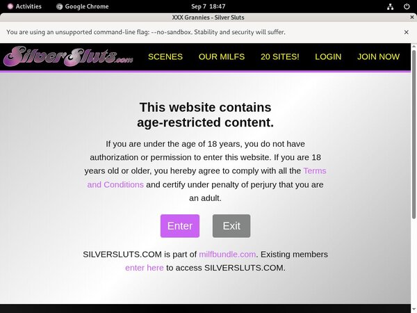 Silver Sluts Full Movie
