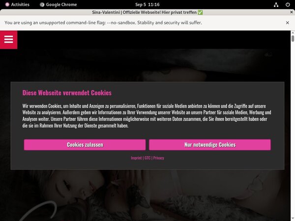 SinaValentini Account Paypal