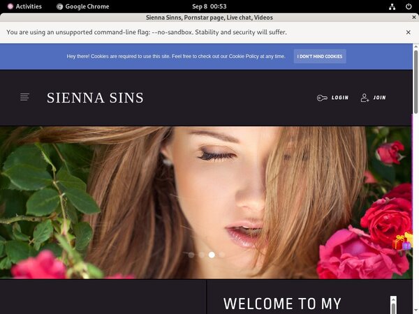 Sinns Sienna Account