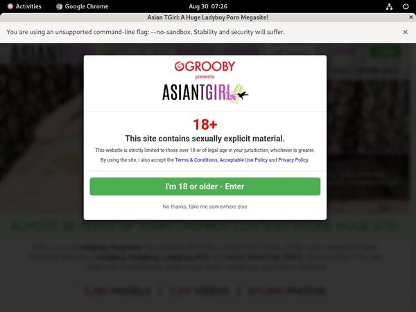 Ladyboy-ladyboy.com Cams