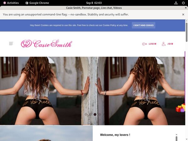 Casiesmith.modelcentro.com Account List