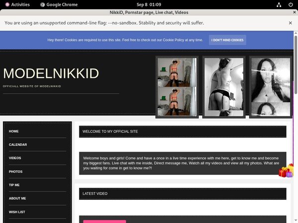 Modelnikki.modelcentro.com Stolen Password