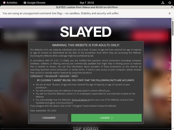Slayed Premium Passwords
